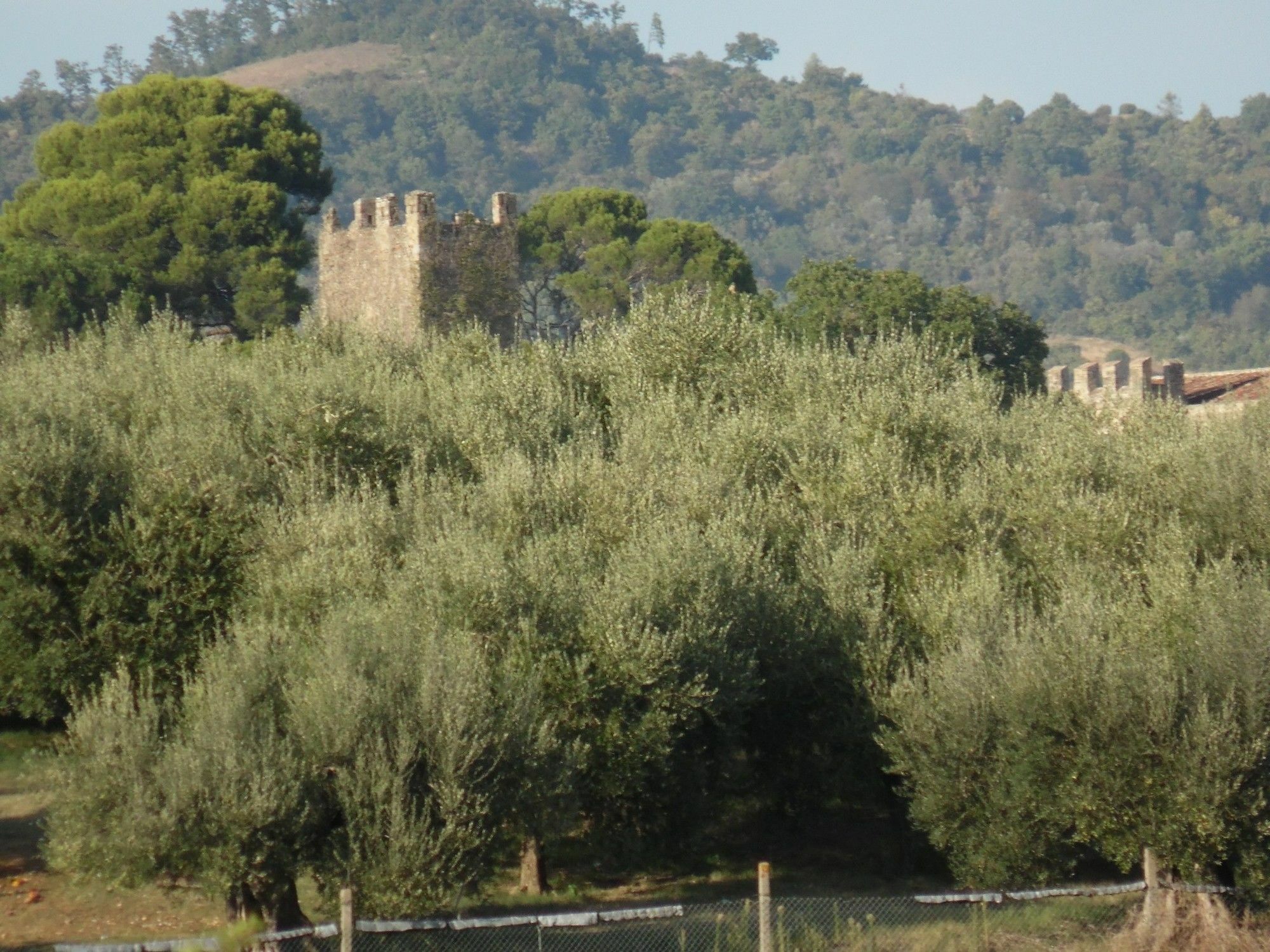 Podere Caldaruccio La Pineta Perugia Exterior foto